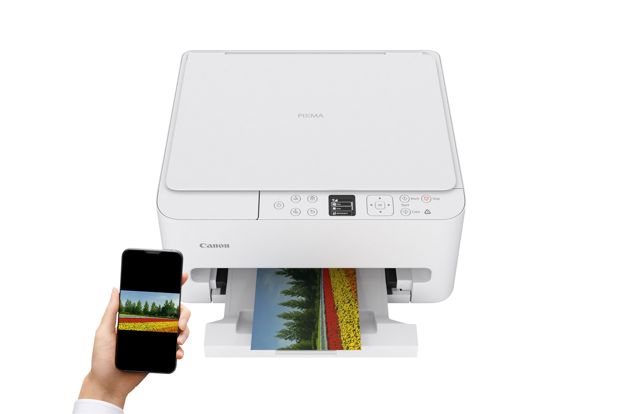 Canon PIXMA TS6550i 