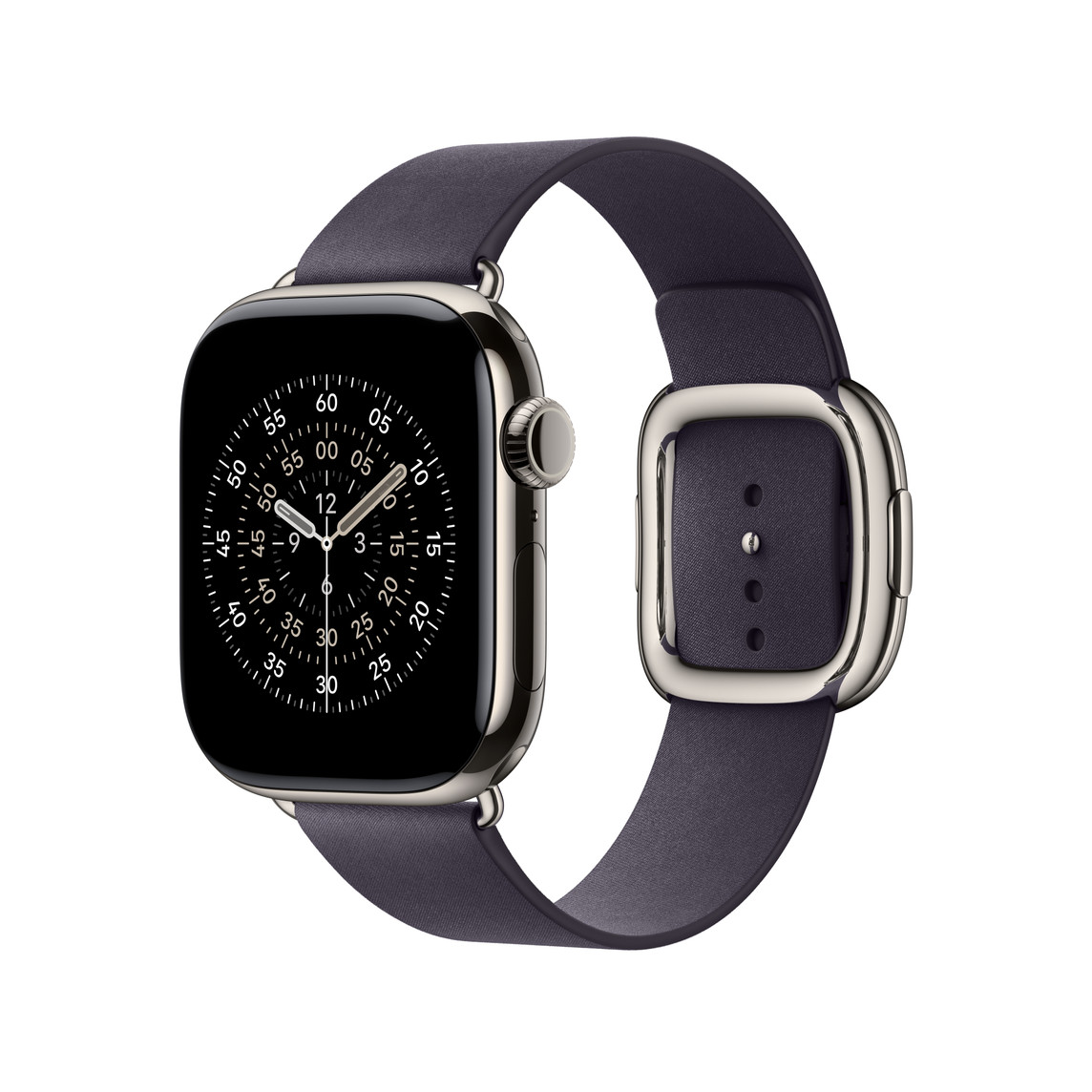 Watch Acc/ 42/ Midnight Purple Modern Buckle - M 