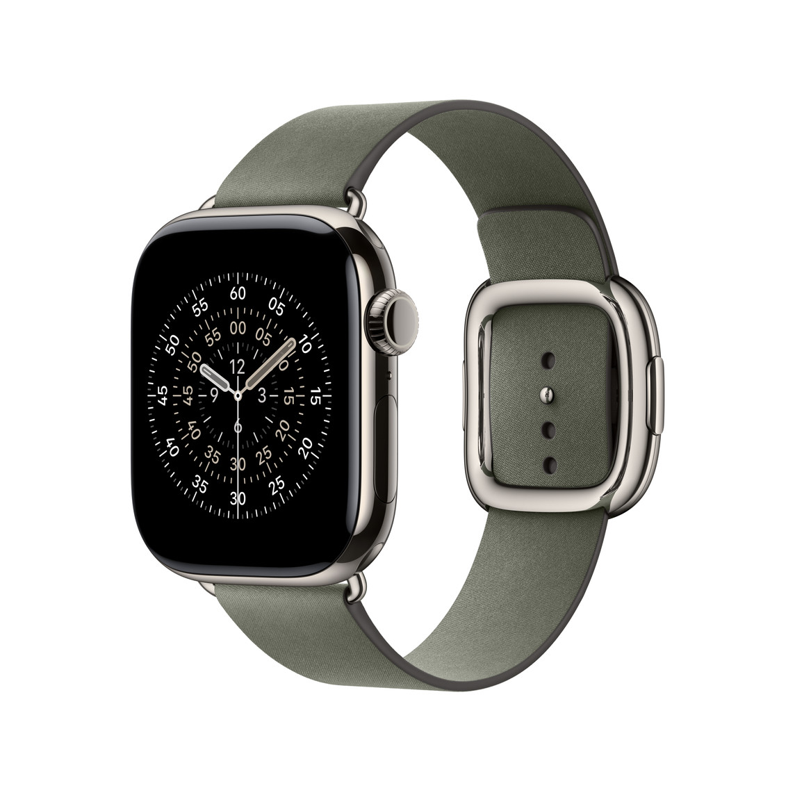 Watch Acc/ 42/ Sage Gray Modern Buckle - L 
