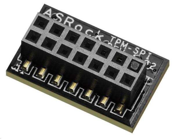 ASRock TPM-SPI