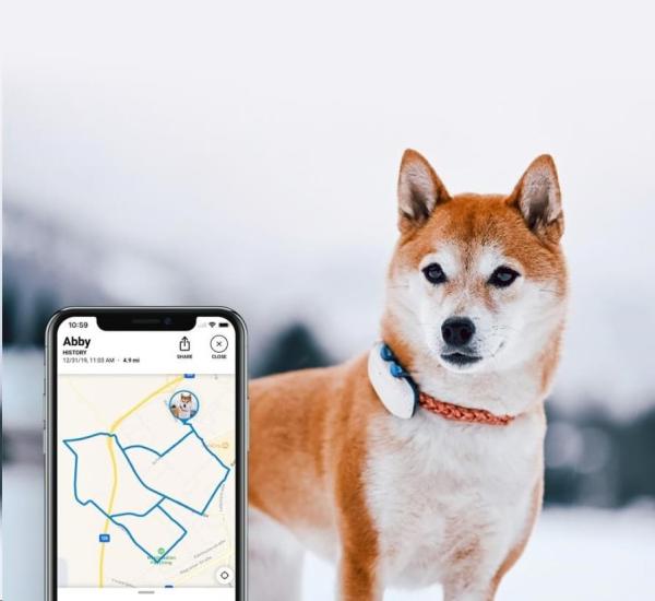 Tractive GPS DOG 4 LTE – sledování polohy a aktivity pro psy - bílá5