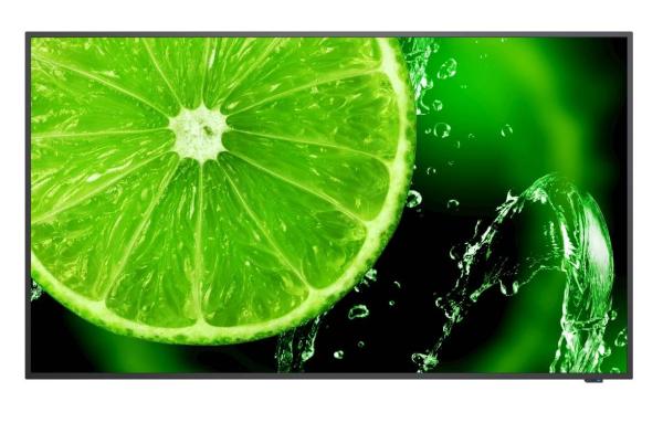 SHARP/ NEC LFD 65" MultiSync E658,  IPS,  3840x2160,  350nit,  1200:1,  8ms,  16/ 7,  VGA,  HDMI,  LAN,  RS232,  USB,  Mediaplayer