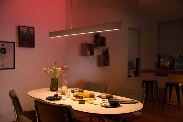 PHILIPS Ensis Svítidlo závěsné,  Hue White and color ambiance,  230V,  2x39W integr.LED,  Bílá5