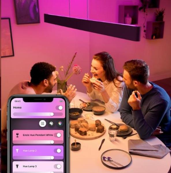 PHILIPS Ensis Svítidlo závěsné,  Hue White and color ambiance,  24V,  2x39W integr.LED,  Černá1
