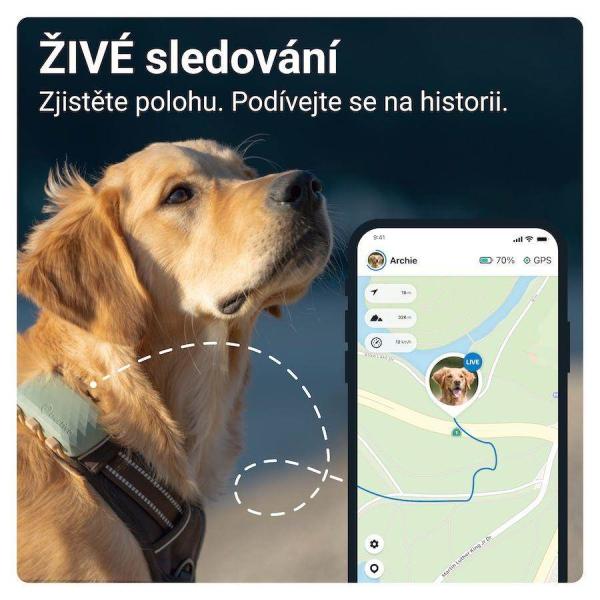 Tractive GPS DOG XL – sledování polohy a aktivity pro psy - zelený1