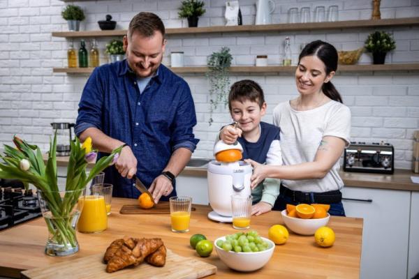 Lauben Electric Citrus Juicer 110WT - odšťavňovač10