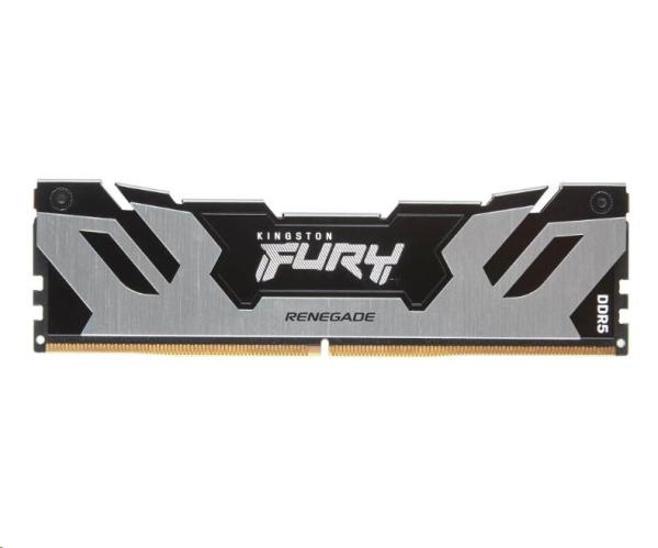 Kingston FURY Renegade/ DDR5/ 48GB/ 6400MHz/ CL32/ 1x48GB/ Black/ Silv2