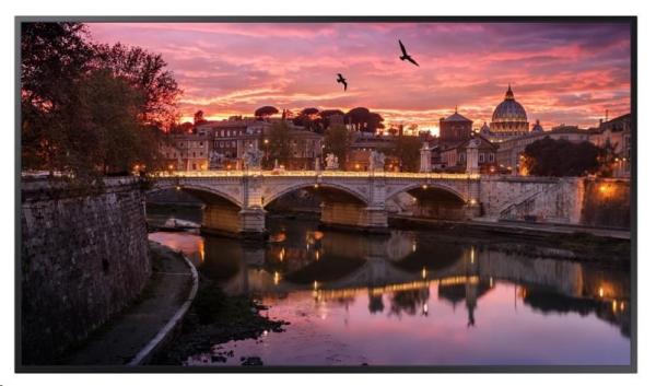 SMART Signage LED QB43C 43