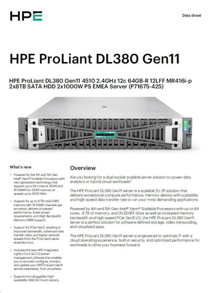 HPE PL DL380g11 4510 (2.4/ 12C) 2x32G (P64706) 2x8TB (834028) 2x1000W MR416i-p 12LFF ocp4x1Gb Smart Choice6