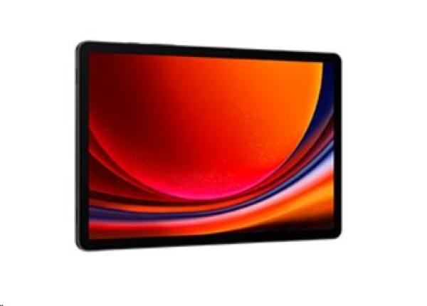 Samsung Galaxy Tab S9 (X710),  11",  8/ 128 GB,  WiFi,  EU,  šedá3