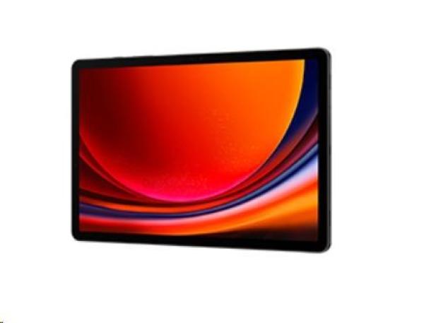 Samsung Galaxy Tab S9 (X710),  11",  8/ 128 GB,  WiFi,  EU,  šedá4