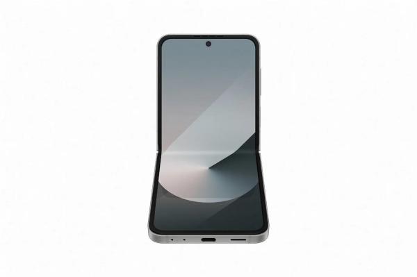 Samsung Galaxy Z Flip 6, 256GB, 5G, EU, Silver Shadow1
