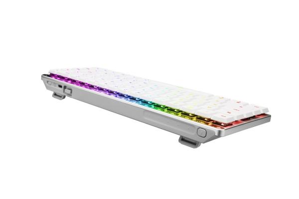 ASUS klávesnice ROG FALCHION RX Low profile (ROG NX Snow),  US4