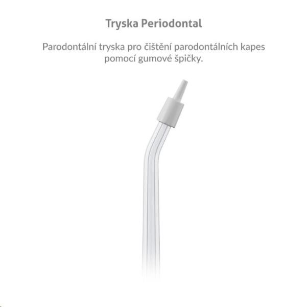 TrueLife AquaFloss L-series jets Periodontal 4 pack1