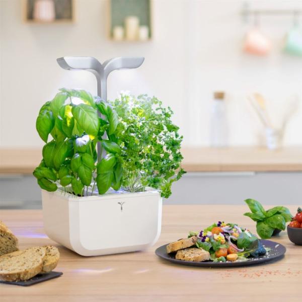 Véritable Exky SMART  - Automatický květináč s regulací osvětlení,  bílá + 2 bylinkové náplně1