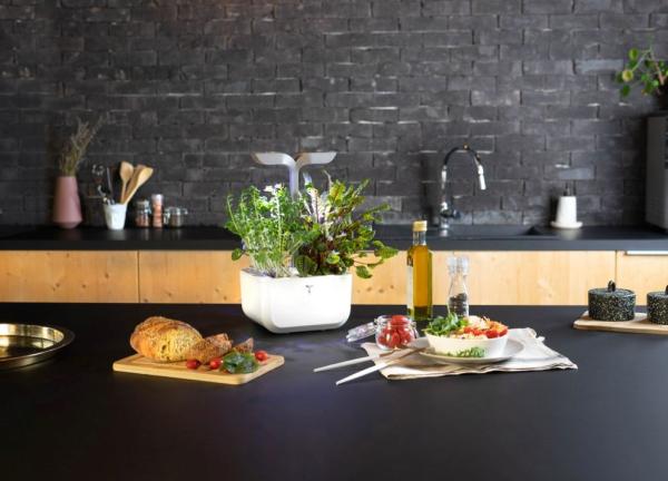Véritable Exky SMART  - Automatický květináč s regulací osvětlení,  bílá + 2 bylinkové náplně7