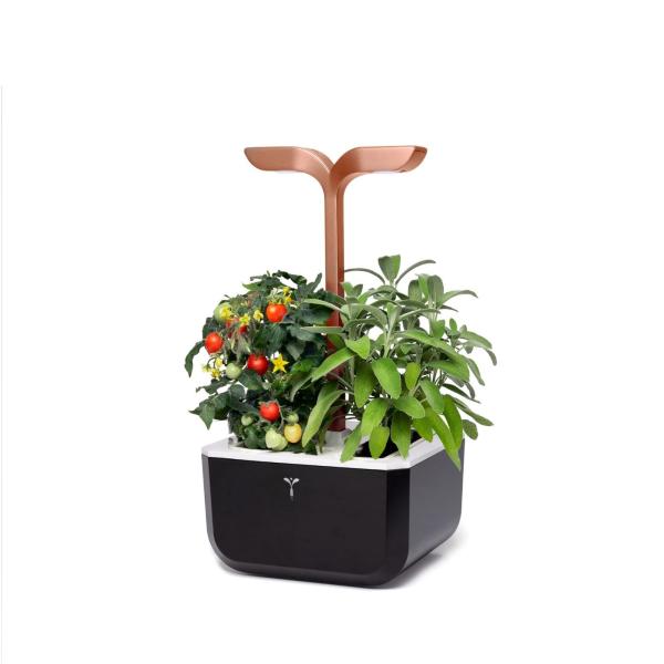 Véritable Exky SMART - Automatický květináč s regulací osvětlení, černá měděná + 2 bylinkové náplně0