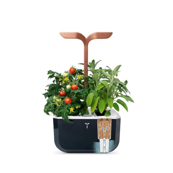 Véritable Exky SMART - Automatický květináč s regulací osvětlení, černá měděná + 2 bylinkové náplně1