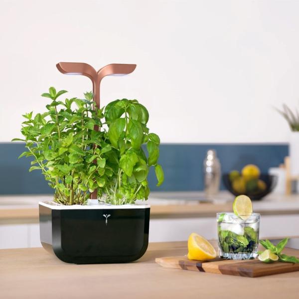 Véritable Exky SMART - Automatický květináč s regulací osvětlení, černá měděná + 2 bylinkové náplně2