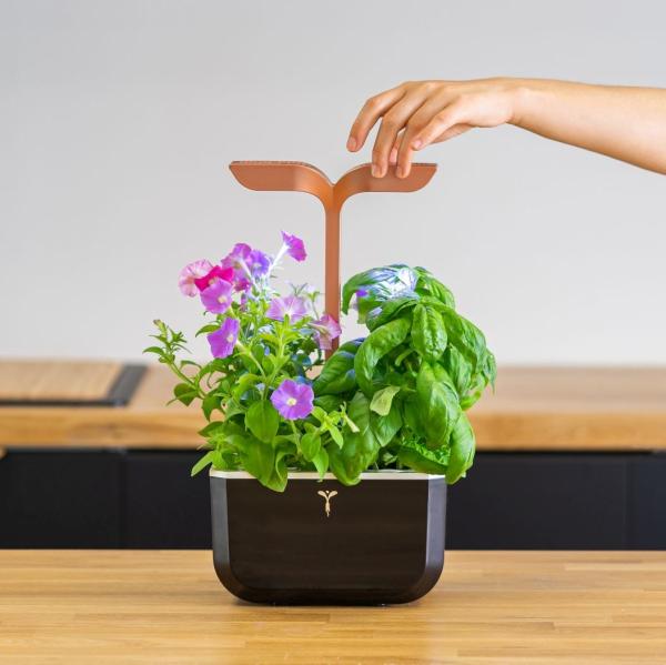 Véritable Exky SMART - Automatický květináč s regulací osvětlení, černá měděná + 2 bylinkové náplně5