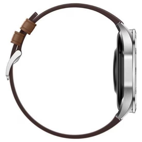 Huawei Watch GT4 46mm (Phoinix-B19L),  brown EU4