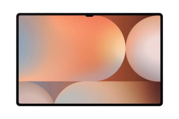Samsung Galaxy Tab S10 Ultra (WiFi) 12GB/ 256GB,  EU,  stříbrný2