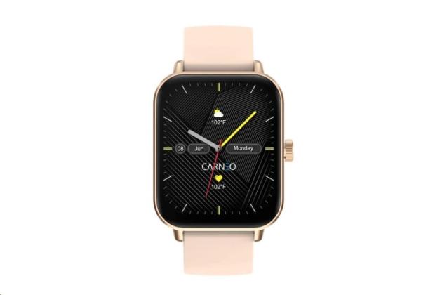 CARNEO Versa HR+ rosegold1