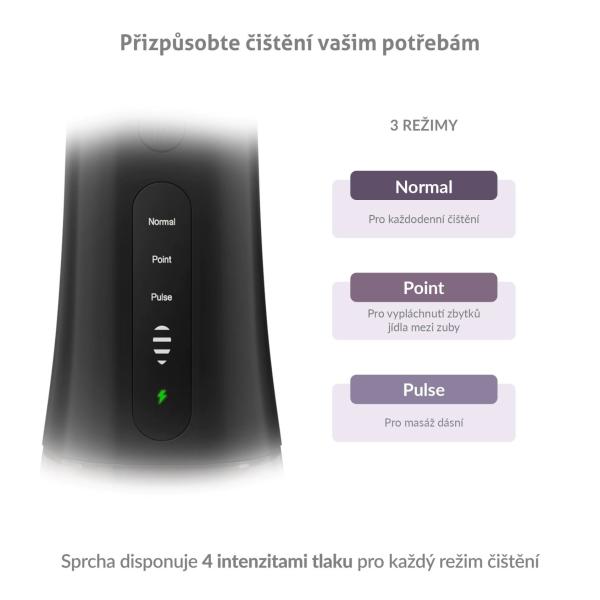 TrueLife AquaFloss Compact L100 Black - ústní sprcha1
