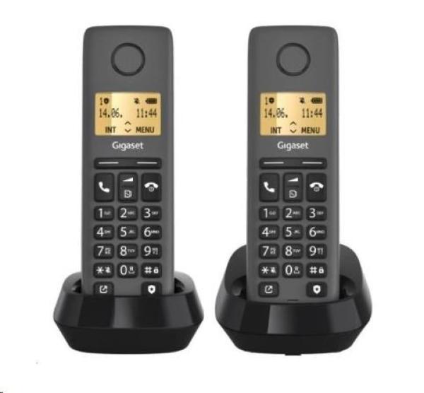 Gigaset Basic 100 Duo Black