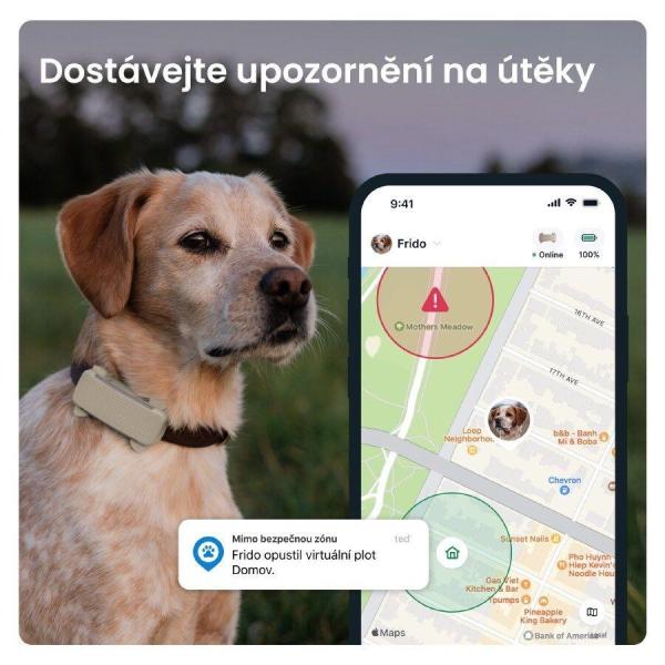 Tractive DOG 6 – GPS lokátor pro psy a monitor zdraví,  hnědý2