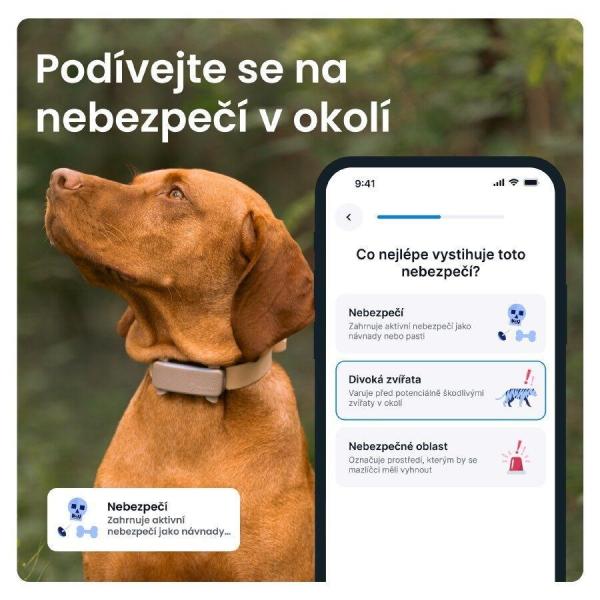 Tractive DOG 6 – GPS lokátor pro psy a monitor zdraví,  hnědý3