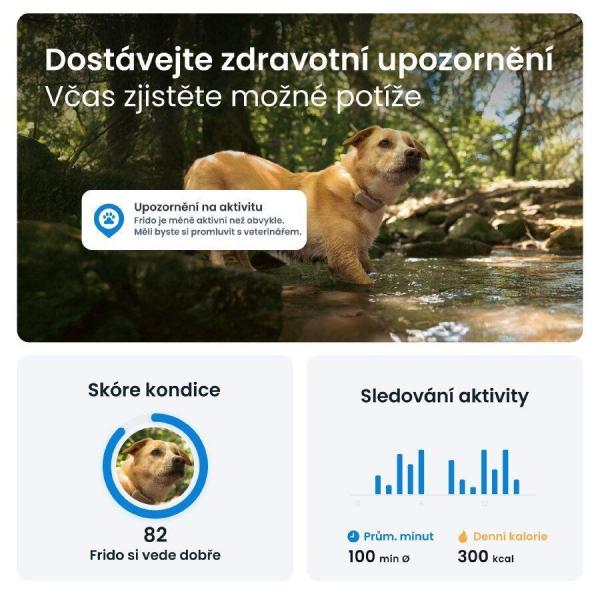 Tractive DOG 6 – GPS lokátor pro psy a monitor zdraví,  hnědý4