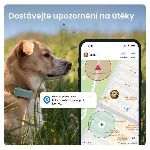 Tractive DOG 6 – GPS lokátor pro psy a monitor zdraví,  mátový1