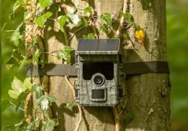 Camouflage EZ-Solar5