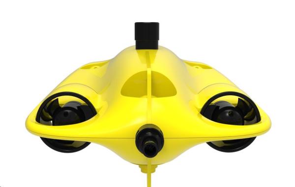 Chasing Gladius Mini S 100m5