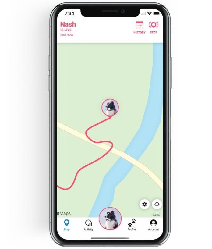 Tractive GPS DOG 4 LTE – sledování polohy a aktivity pro psy - bílá9 
