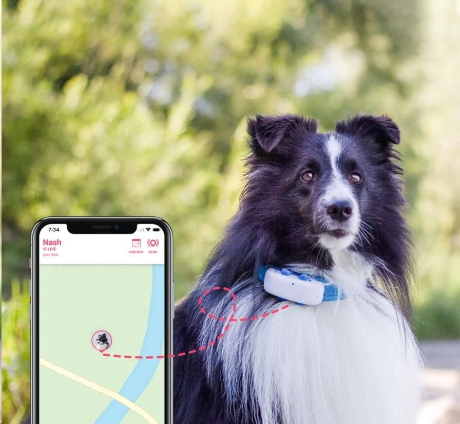 Tractive GPS DOG 4 LTE – sledování polohy a aktivity pro psy - bílá3 