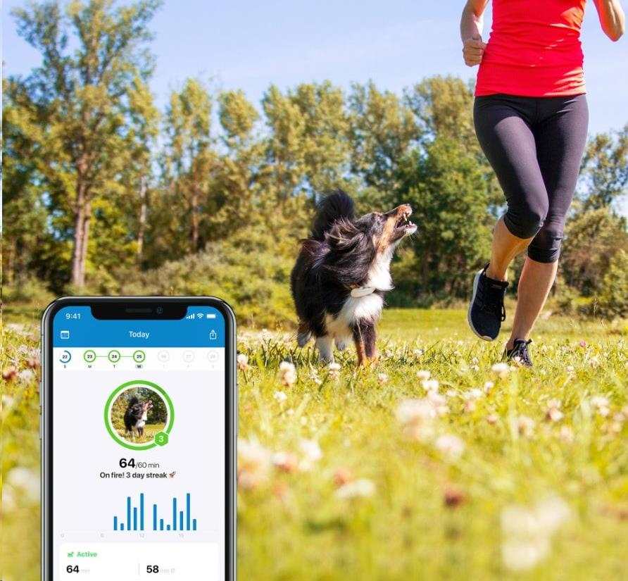 Tractive GPS DOG 4 LTE – sledování polohy a aktivity pro psy - bílá4 