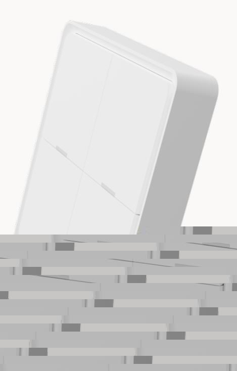 Tesla Smart Switch Quatro Battery3 