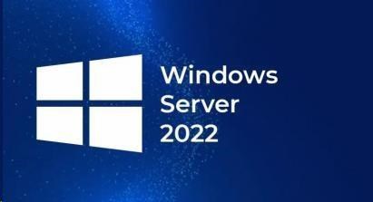 FUJITSU Windows 2022 - WINSVR CAL 10 User - pro všechny systémy a výrobce - OEM0 