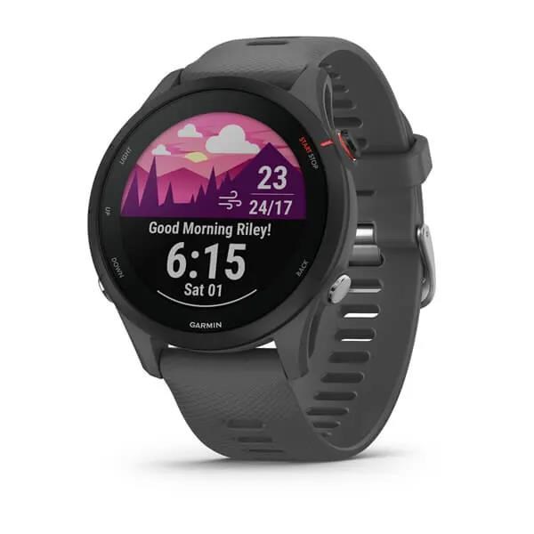 Garmin GPS sportovní hodinky Forerunner® 255,  Slate Gray1 