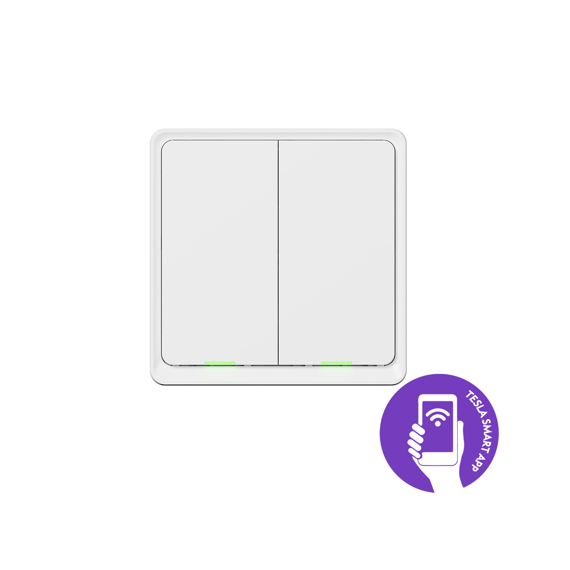 Tesla Smart Switch Dual ZigBee0 