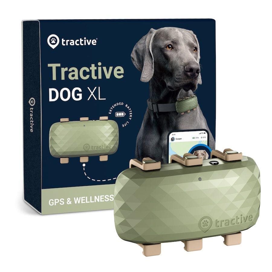 Tractive GPS DOG XL – sledování polohy a aktivity pro psy - zelený0 