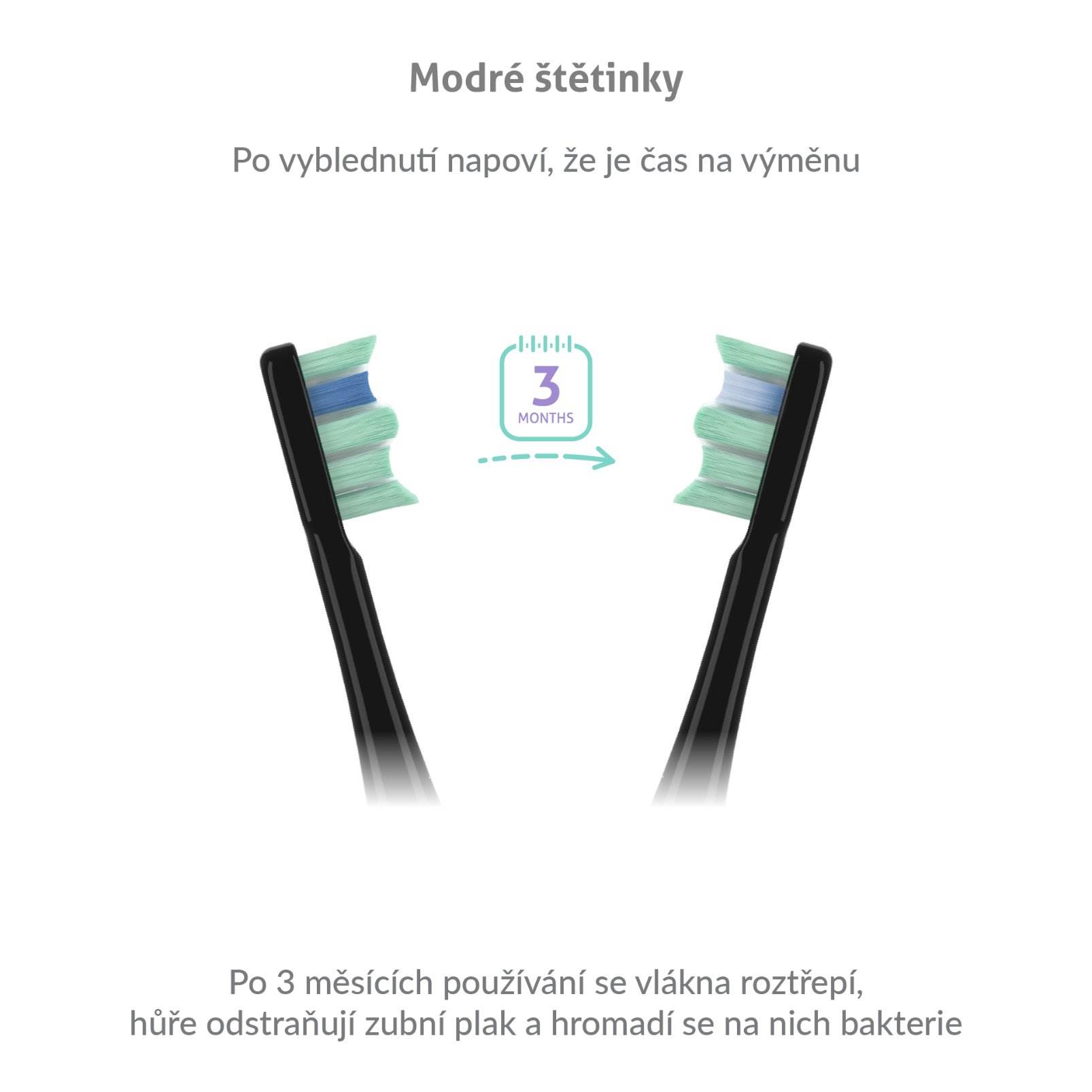 TrueLife SonicBrush Clean30 Black8 