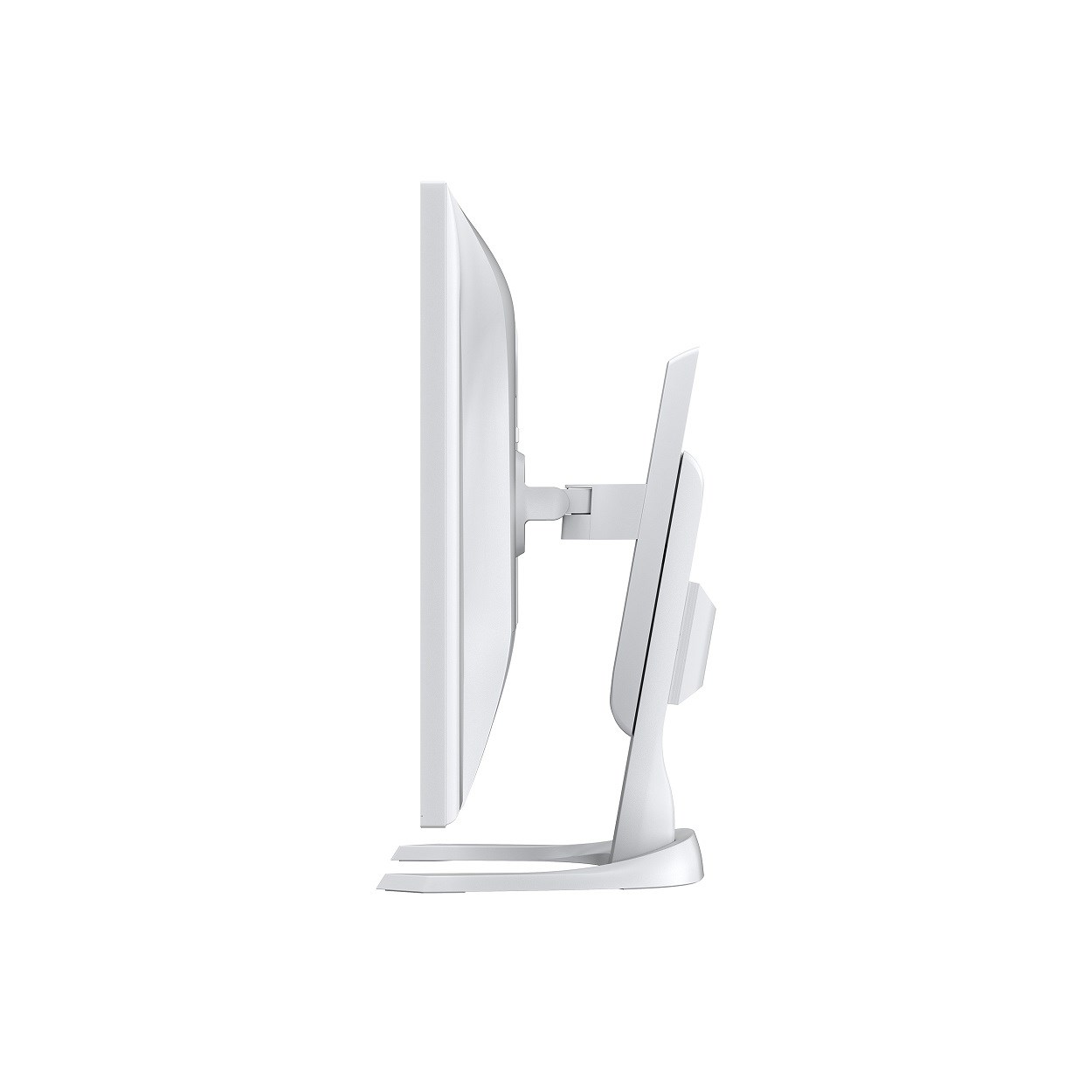 EIZO MT 31, 5