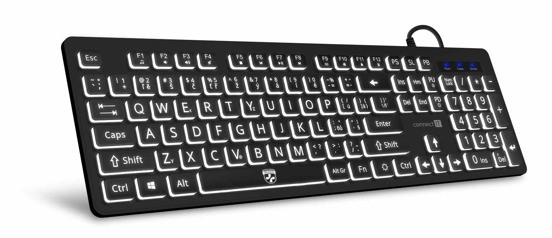 CONNECT IT Klávesnice FOR HEALTH LargeFont ergonomická klávesnice s velkým fontem,  drátová,  membránová,  CZ + SK,  černá0 