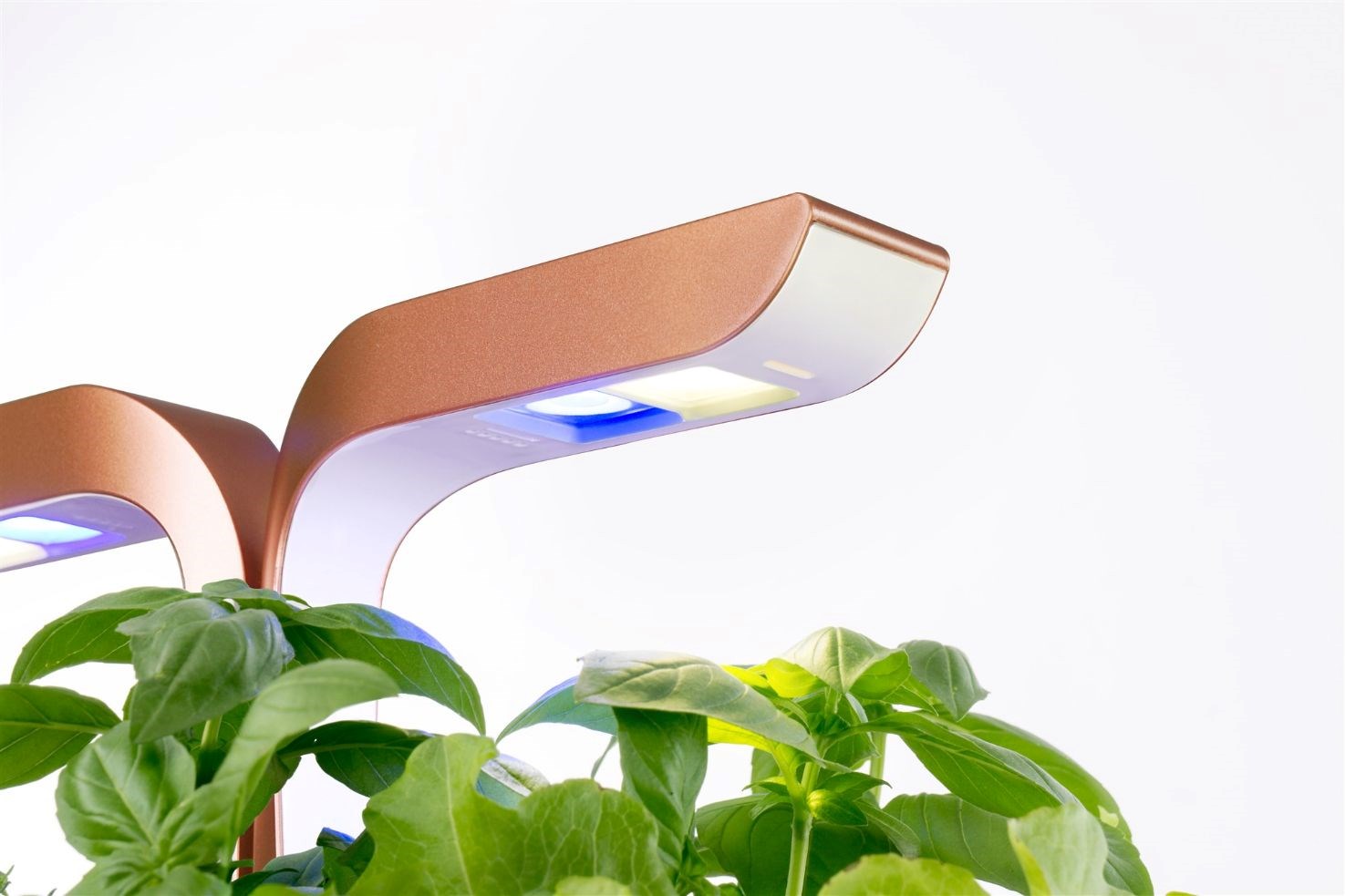 Véritable SMART - Automatický květináč s regulací osvětlení,  černá měděná + 4 bylinkové náplně1 