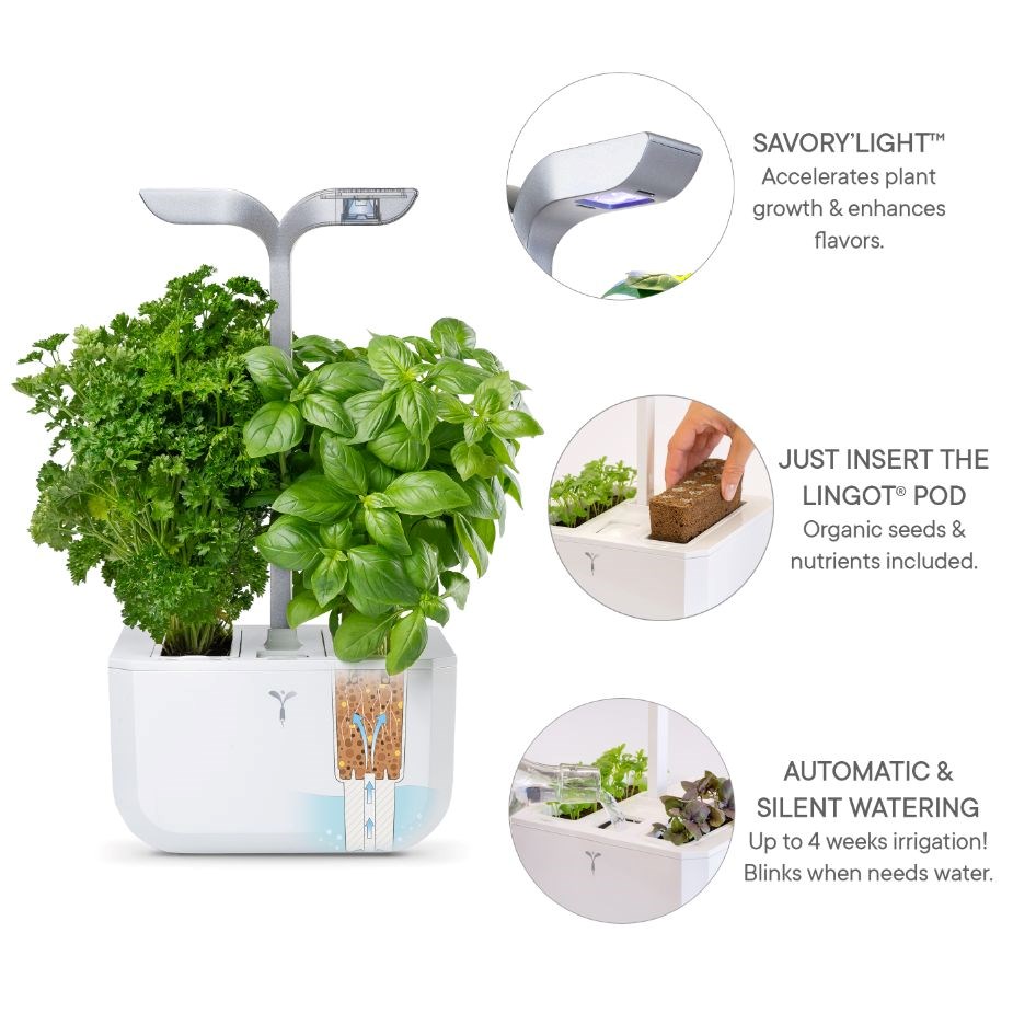 Véritable Exky SMART  - Automatický květináč s regulací osvětlení,  bílá + 2 bylinkové náplně5 