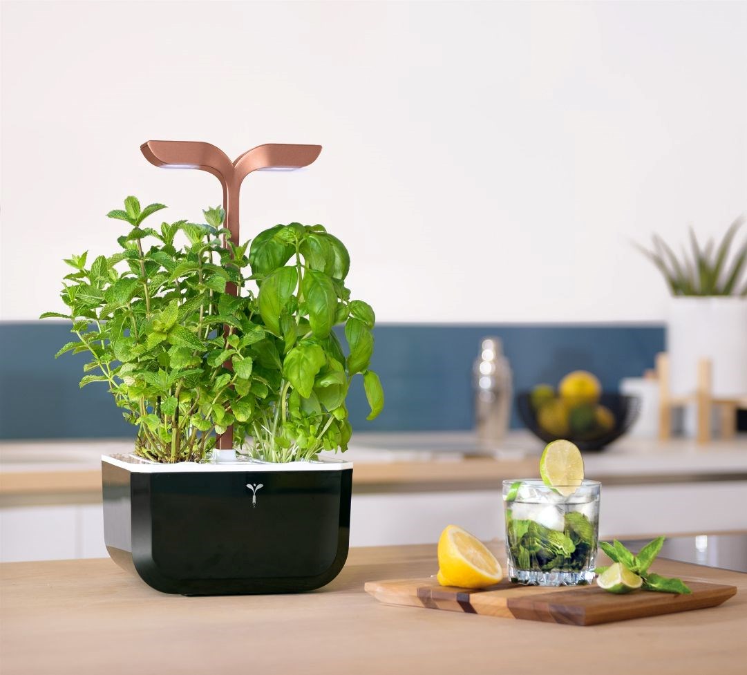 Véritable Exky SMART - Automatický květináč s regulací osvětlení, černá měděná + 2 bylinkové náplně3 