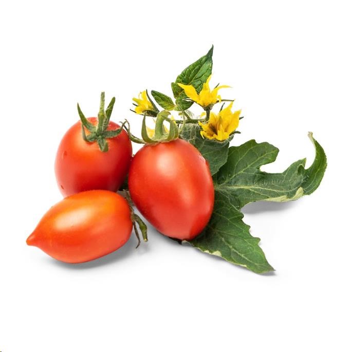 Véritable Lingot Červené mini rajče0 